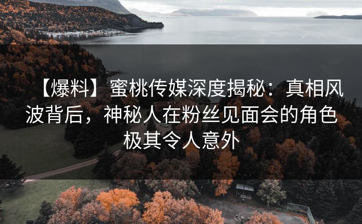 【爆料】蜜桃传媒深度揭秘：真相风波背后，神秘人在粉丝见面会的角色极其令人意外