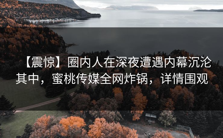 【震惊】圈内人在深夜遭遇内幕沉沦其中，蜜桃传媒全网炸锅，详情围观