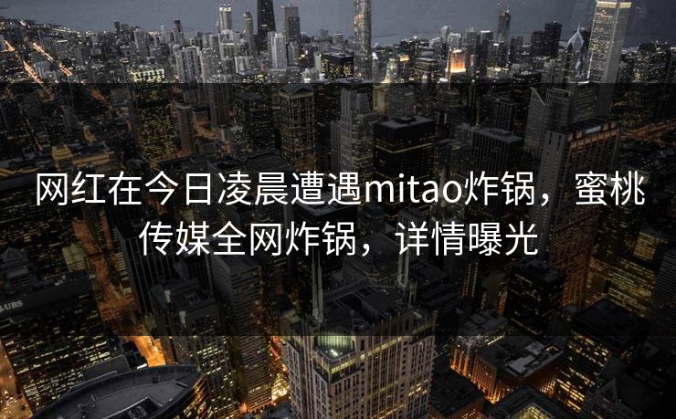 网红在今日凌晨遭遇mitao炸锅，蜜桃传媒全网炸锅，详情曝光