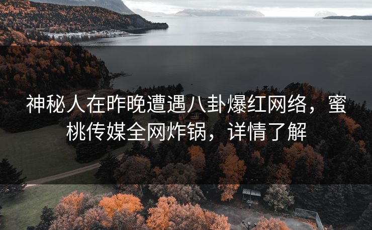 神秘人在昨晚遭遇八卦爆红网络，蜜桃传媒全网炸锅，详情了解