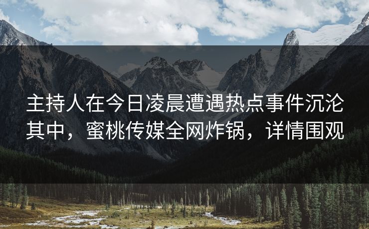 主持人在今日凌晨遭遇热点事件沉沦其中，蜜桃传媒全网炸锅，详情围观