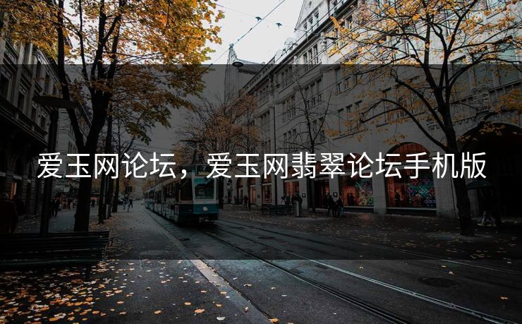 爱玉网论坛，爱玉网翡翠论坛手机版