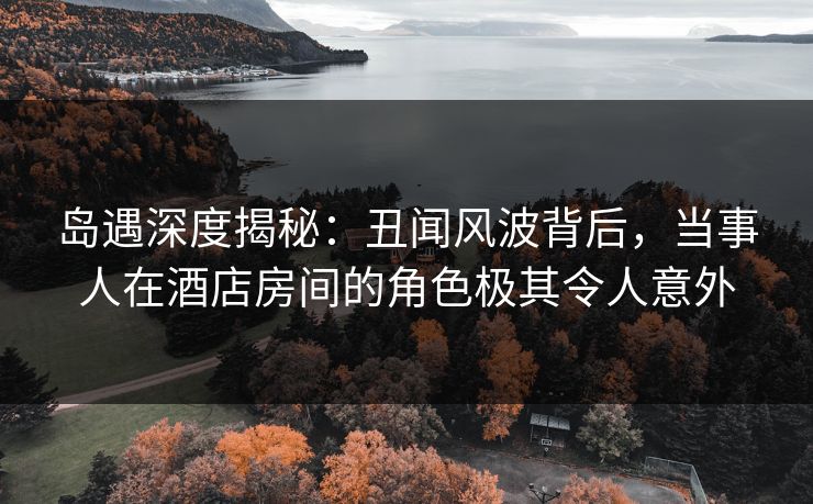 岛遇深度揭秘：丑闻风波背后，当事人在酒店房间的角色极其令人意外