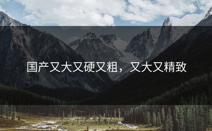 国产又大又硬又粗，又大又精致