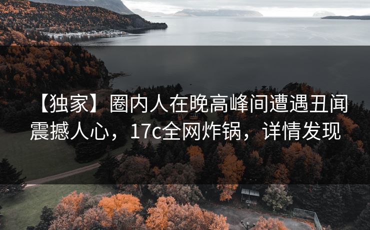 【独家】圈内人在晚高峰间遭遇丑闻 震撼人心，17c全网炸锅，详情发现